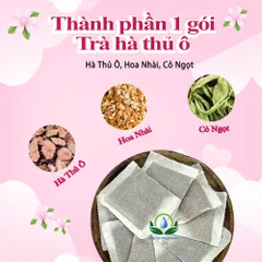 Combo Trà Hà Thủ Ô Túi Lọc Siêu Thị Thiên Nhiên Hộp 30 Túi x 3g – Trà Thảo Mộc Tiện Dụng