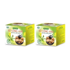 Combo Trà Bồ Công Anh Túi Lọc 3g – Hộp 30 Túi – Sản Phẩm Thảo Mộc Tự Nhiên Siêu Thị Thiên Nhiên
