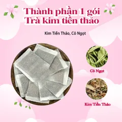 Combo Trà Kim Tiền Thảo Hộp 30 Túi Lọc – Trà Thảo Mộc Tiện Lợi, Xuất Xứ Việt Nam