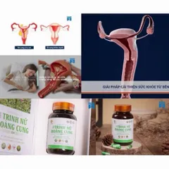 Viên Uống Trinh Nữ Hoàng Cung Gia Hưng Pharma, Hỗ Trợ  U Xơ Tử Cung, U Nang Buồng Trứng, U Tuyến Vú 30 Viên