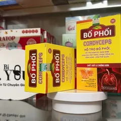 Viên uống Bổ phế Cordyceps ngăn viêm phổi phế quản mạn,viêm đường hô hấp, long đàm, ho khan, khàn tiếng 30v