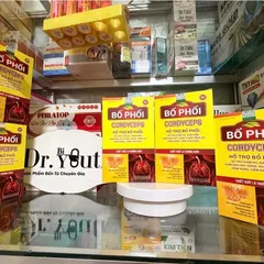 Viên uống Bổ phế Cordyceps ngăn viêm phổi phế quản mạn,viêm đường hô hấp, long đàm, ho khan, khàn tiếng 30v