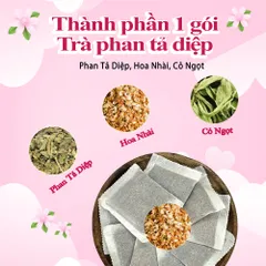 Combo Trà Phan Tả Diệp Túi Lọc 30 gói Tiện Dụng – Thức Uống Thảo Mộc Thiên Nhiên