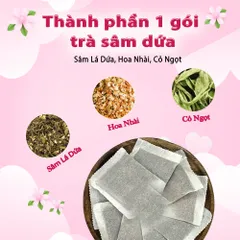 Combo Trà Sâm Dứa Hoa Nhài Túi Lọc - Siêu Thị Thiên Nhiên Hộp 30 Túi Trà Thảo Mộc