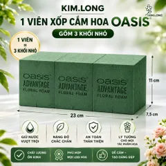 Xốp Cắm Hoa Oasis Loại 1 Thùng 20 Viên