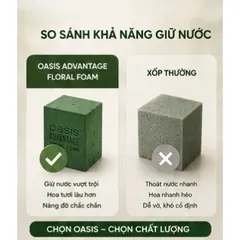 Xốp Cắm Hoa Oasis Loại 1 Thùng 20 Viên