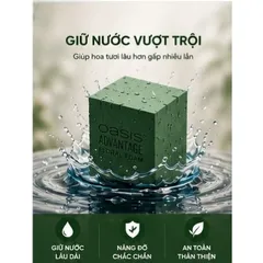 Xốp Cắm Hoa Oasis Loại 1 Thùng 20 Viên