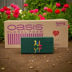 Xốp Xanh Oasis Spring Malaysia Thùng 20 Viên
