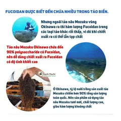 Viên uống Okinawa Fucoidan 180 viên, hỗ trợ nâng cao sức đề kháng