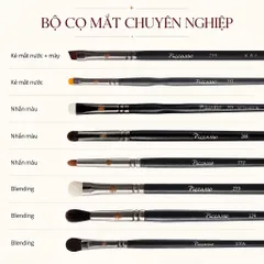 BỘ CỌ TRANG ĐIỂM MẮT PICCASSO CHUYÊN NGHIỆP EYESHADOW (7 CÂY)