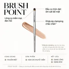 CỌ CHE KHUYẾT ĐIỂM VÀ BẮT SÁNG KEM PICCASSO PROOF SILVER 09