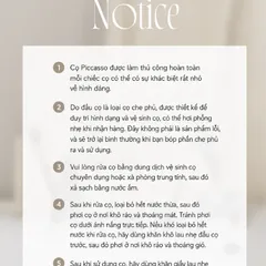 CỌ CHE KHUYẾT ĐIỂM VÀ BẮT SÁNG KEM PICCASSO PROOF SILVER 09