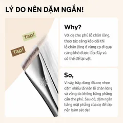 Cọ tán nền Piccasso FB33 Tapping Cover Hiệu ứng Filter Che Phủ Lỗ Chân Lông Chuyên Dụng