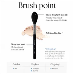 BỘ ĐÔI POWDER PICCASSO (128 & 125)
