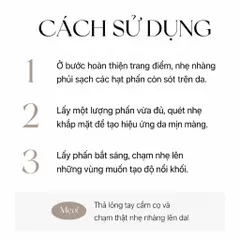 Piccasso 723 Fan Powder Brush – Cọ Quạt Phủ Phấn & Má Hồng Chuyên Nghiệp