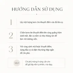 Cọ Che Khuyết Điểm Piccasso 258 Concealer Brush