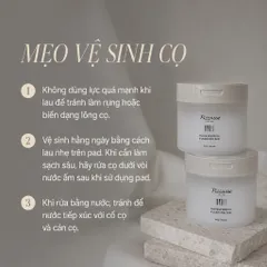 5 COMBO CỌ NỀN PICCASSO (FB11 • 163 • FB33 • FB22 • 333 + PAD 60) ( 5 LOẠI CHỌN 1)