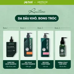 [Hỏa tốc] Dầu gội giảm gàu, giảm ngứa Aromase Dry Scalp Soothing Shampoo (90ml/ 400ml)
