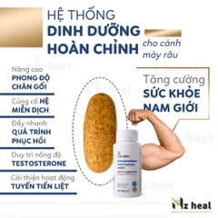 [Hỏa tốc] Vitamin Tổng Hợp Nam Giới Xtend Life Total Balance Men's Standard (120 viên)