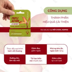 [Hỏa tốc] Kem giảm herpes môi Kolorex Kolsore Lip Care Ointment 5g - Nzheal