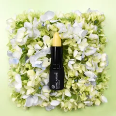 [Hỏa tốc] Son dưỡng môi organic Lip Hydrator 01 Living Nature