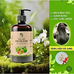 (CTy NK) Dầu Gội Bưởi Non mọc tóc, giảm bết dầu, tóc bồng bềnh [Tặng xả tóc 50gr]