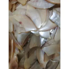 Lược Sừng Cạo Gió, Mát Xa Da Mặt & Giải Tỏa Căng Thẳng ( Dụng Cụ Làm Đẹp & Thư Giãn Tinh Thần)