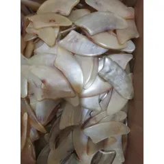 Lược Sừng Cạo Gió, Mát Xa Da Mặt & Giải Tỏa Căng Thẳng ( Dụng Cụ Làm Đẹp & Thư Giãn Tinh Thần)