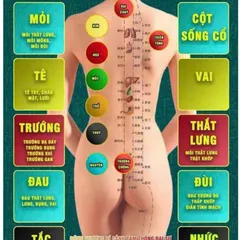 Máy Tam Thông Đại Sư công nghệ cao cấp và thảo dược thuần thiên nhiên cùng với kỹ thuật chuyên sâu