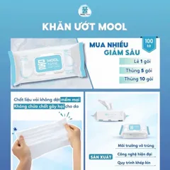 Khăn ướt 100 tờ Mool