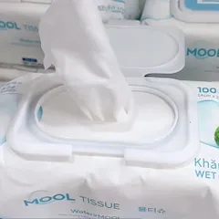 Khăn ướt 100 tờ Mool