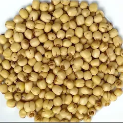 Hạt Sen Sấy Giòn Ăn Liền 500g - Ăn Vặt Thơm Ngon Giòn Bùi, Hỗ Trợ Giấc Ngủ