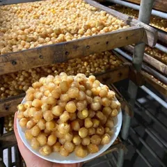 Long Nhãn Ôm Sen Sấy Mộc Sạch Sẽ - Món Ăn Vặt Thơm Ngon Giòn Bùi Tốt Cho Sức Khoẻ