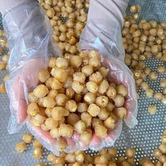 Long Nhãn Ôm Sen Sấy Mộc Sạch Sẽ - Món Ăn Vặt Thơm Ngon Giòn Bùi Tốt Cho Sức Khoẻ