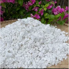 Bột Sắn Dây Sấy Lạnh Nguyên Chất 100% Hộp 500-1000gr