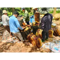Mật Ong Hoa Nhãn Hưng Yên - Nguyên Chất 100% Chai 500ml (700gram)