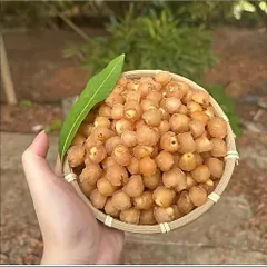 Long Nhãn Ôm Sen - Đặc Sản Hưng Yên, Ăn Vặt Ngon, Hỗ Trợ Giấc Ngủ Hộp 500gram