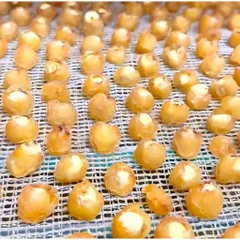 Long Nhãn Ôm Sen - Đặc Sản Hưng Yên, Ăn Vặt Ngon, Hỗ Trợ Giấc Ngủ Hộp 500gram