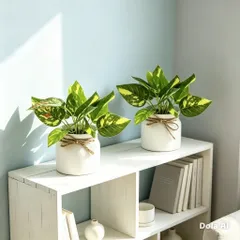 Chậu cây trầu bà nhựa kích thước 16cm trang trí,deco phòng ấn tượng,làm quà tặng..: