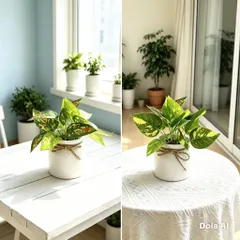 Chậu cây trầu bà nhựa kích thước 16cm trang trí,deco phòng ấn tượng,làm quà tặng..: