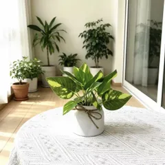 Chậu cây trầu bà nhựa kích thước 16cm trang trí,deco phòng ấn tượng,làm quà tặng..: