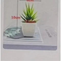Chậu cây trầu bà nhựa kích thước 16cm trang trí,deco phòng ấn tượng,làm quà tặng..: