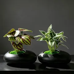 Chậu cây bằng nhựa thiết kế tinh sảo kích thước 11*10cm trang trí phòng,làm quà tặng