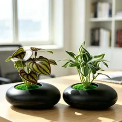Chậu cây bằng nhựa thiết kế tinh sảo kích thước 11*10cm trang trí phòng,làm quà tặng