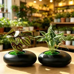 Chậu cây bằng nhựa thiết kế tinh sảo kích thước 11*10cm trang trí phòng,làm quà tặng