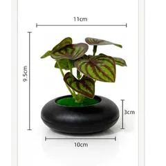 Chậu cây bằng nhựa thiết kế tinh sảo kích thước 11*10cm trang trí phòng,làm quà tặng