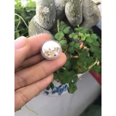 chén chè mini bằng đất sét