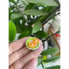 mô hình dĩa bánh tai yến mini bằng đất sét 1/12 rất nhỏ