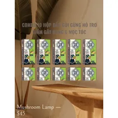 Giá sỉ _10 hộp dầu gội thảo mộc gừng 5 trong 1