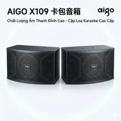 Cặp loa dàn Karaoke AIGO X109 ( 2 chiếc ) (P12431)